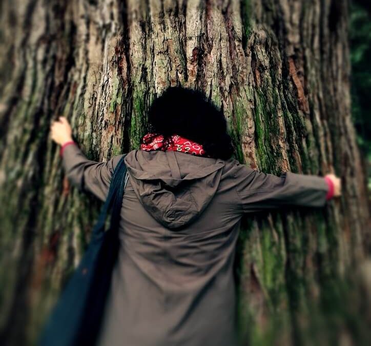 YOGA  IM WALD ab 8.Juni!